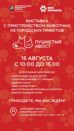 Ищете хвостатого друга? Приходите в Измайловский парк!