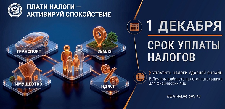 Что делать, если налоговое уведомление не получено