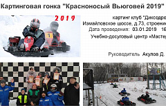 Картинговая гонка "Красноносый Вьюговей 2019"