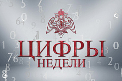 Росгвардия: цифры недели
