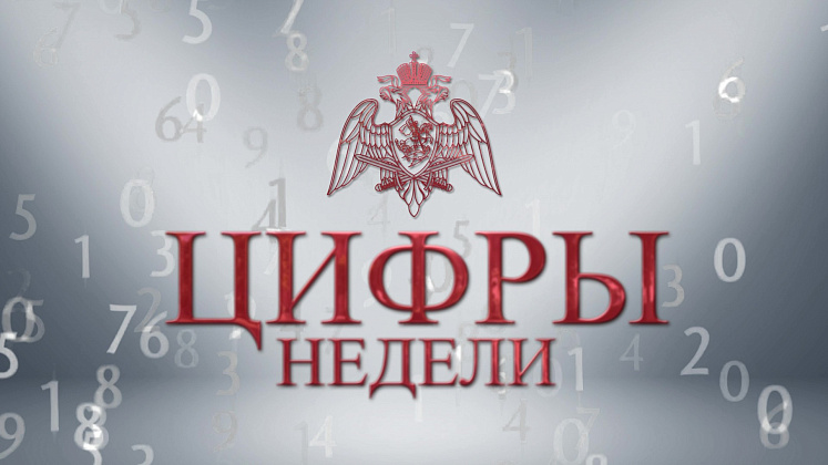Росгвардия: цифры недели